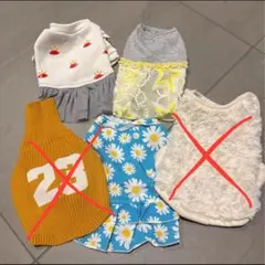 Item thumbnail for item 275de391-ec03-4264-8fc7-5324afdbe553