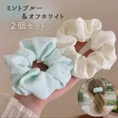 ビジュー付き シフォンシュシュ 2点セット ミントグリーン オフホワイト 春