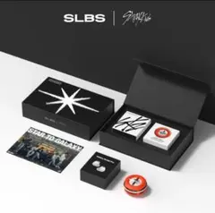 stray kids galaxy イヤホン＋ケース Stray Kids X SLBS Samsung Galaxy Buds series Case ONLY