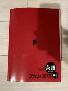トカゲ様 リクエスト 2点 まとめ商品