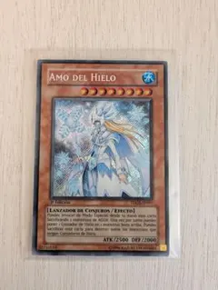 2025年最新】デュエルモンスターズ EX-Rの人気アイテム - メルカリ