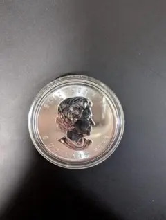 Item thumbnail for item b74af52b-79ac-40c4-980a-60c15e162197