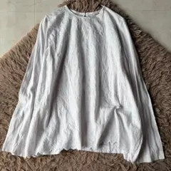 45R 総刺繍ブラウス ハケ目　天竺刺繍　カットワーク　シャツ　ホワイト 0のサムネイル