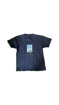 【お値下げ大歓迎】90s RAF SIMONS 浮世絵プリント Tシャツのサムネイル