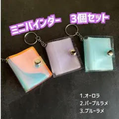 ミニ シール帳 クリアファイル キーホルダー 小さい収納 3個セット