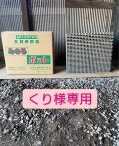 みのる　ポット苗　苗箱　30個　中古　洗浄・簡易チェック済 IMG_2024-11-15-14-27-24-449.