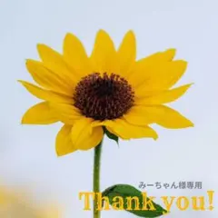 みーちゃん様 リクエスト 2点 まとめ商品