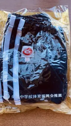 Item thumbnail for item cd295546-085d-4da7-b0b4-9bfa0703d0bc