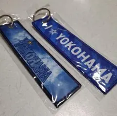 ☆新品未使用☆横浜DeNAベイスターズ フライトタグビジター&スターナイトセットのサムネイル