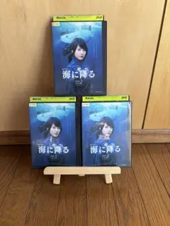 Item thumbnail for item 6b9b5fcd-adab-438e-9c89-7dab84ce276a