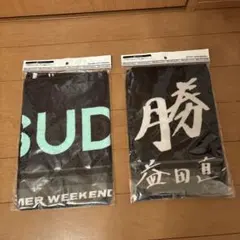 【S】千葉ロッテマリーンズ 益田直也 タオル マフラータオル