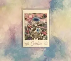 ツイステ展・オルト１点・ランダムカード