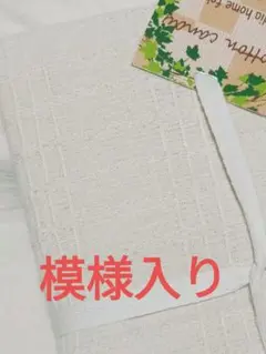 Item thumbnail for item 1ce99ec8-b649-4504-93dc-1649b5d44ba6