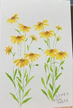 【　ルドベキア　】水彩画 ポストカード　ハガキサイズ　原画　一点もののサムネイル