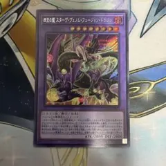 四天の龍　スターヴヴェノムフュージョンドラゴン　シク　シークレット　LOCR