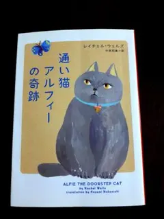 通イ猫アルフィー