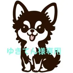 ゆきてん様専用