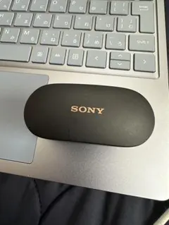 Sony WF-1000XM4 ケースのみのサムネイル