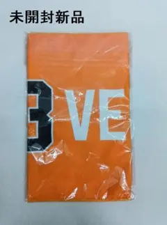 Item thumbnail for item 3de33a92-f9d6-444e-891d-81dd583914ee