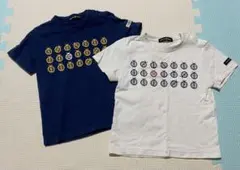 Item thumbnail for item 23c354b0-bf0a-4057-a902-bd2c12f1982b