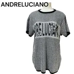 ANDRELUCIANO ロゴジャカード ニット 半袖 ストライプ 日本製のサムネイル