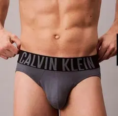 カルバンクライン　メンズビキニ　L(M) ダークグレー　ビキニブリーフ　男性下着