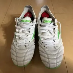 モレリアネオ4 取替MIX 25.0センチ