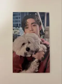 SEVENTEEN エスクプス FML 東京 会場限定トレカ