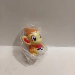 ポケモンキッズ　ヒコザル④