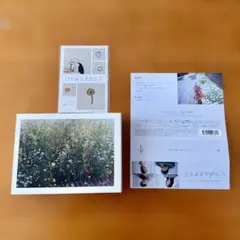 2026年最新】いちばんすきな花 blu-rayの人気アイテム - メルカリ
