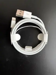 Apple純正 Lightningケーブル