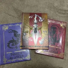 新品未開封 ポケットモンスター　バイオレット　スカーレット　アートブック