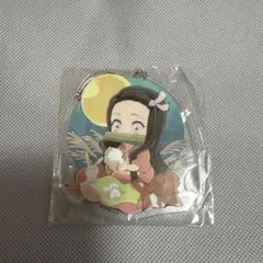 鬼滅の刃　お月見　アクチャ　禰豆子