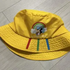 匿名配送☆ディズニーリゾート　レインハット