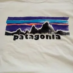 パタゴニア　Tシャツ　白　M　使用感あり 最終値下げ