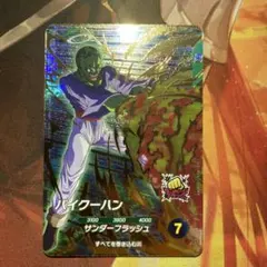 パイクーハン　SDV6-073