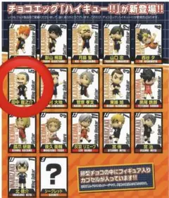 ハイキュー!! チョコエッグ【田中龍之介】