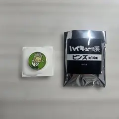 ハイキュー!!展 ピンズ 青根