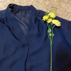 【earth】レディースシアーシャツ（F）ポリシャツ 透け感 重ね着 紺 無地