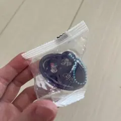 香港ディズニーランド 20周年 ネームタグキーホルダー　デール