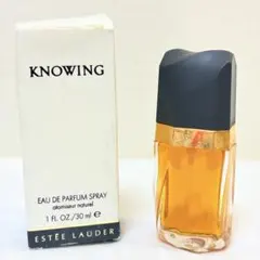2026年最新】エスティローダー knowingの人気アイテム - メルカリ