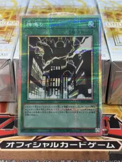 【最安値】神鳴り　プリシク