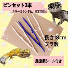 セール 爬虫類ケージ 110×45×45㎝ リクガメ モニター イグアナ m99314504265_1.jpg?1726231505