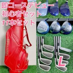 7本】MIZUNO ミズノ レディース ゴルフ クラブ 初心者 セット L