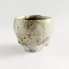 陶芸家 谷本洋 伊賀 ぐい呑 酒器 酒盃 杯 共箱 伊賀焼 - メルカリ