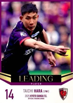 京都サンガ 原大智