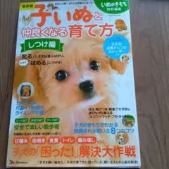 Item thumbnail for item 64027f75-33df-41af-b598-353c71fc0b2e