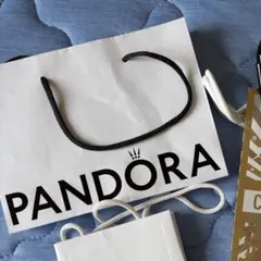 ブランドショップ袋セット 5袋