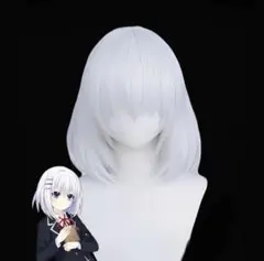 2026年最新】魂魄妖夢 コスプレの人気アイテム - メルカリ
