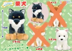 くったり柴犬　ぬいぐるみ　くろりん　しろりん